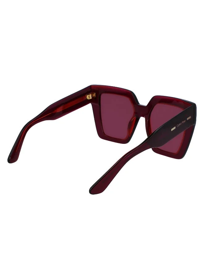 CALVIN KLEIN  FULL RIM ACETATE CALVIN KLEIN SUN CK23502S  | Best Price UAE