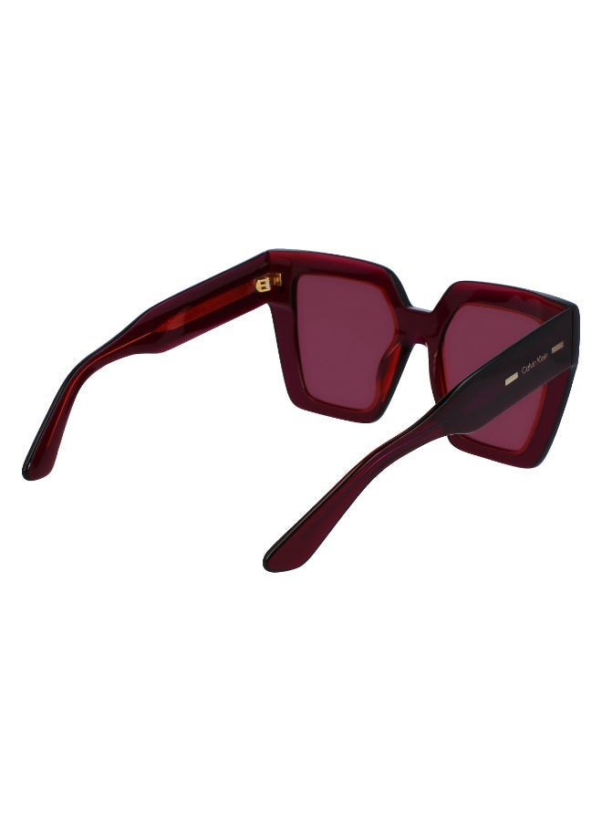 CALVIN KLEIN FULL RIM ACETATE CALVIN KLEIN SUN CK23502S - Image 5