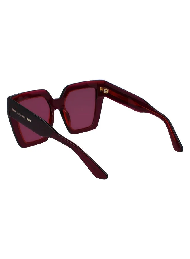 CALVIN KLEIN  FULL RIM ACETATE CALVIN KLEIN SUN CK23502S  | Best Price UAE