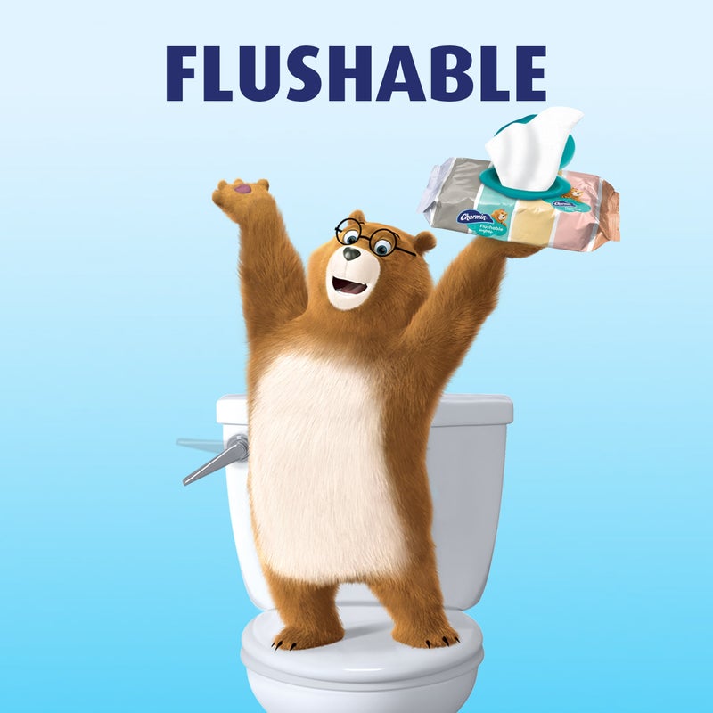Procter & Gamble Charmin Flushable Wipes  40 count per pack - Image 4