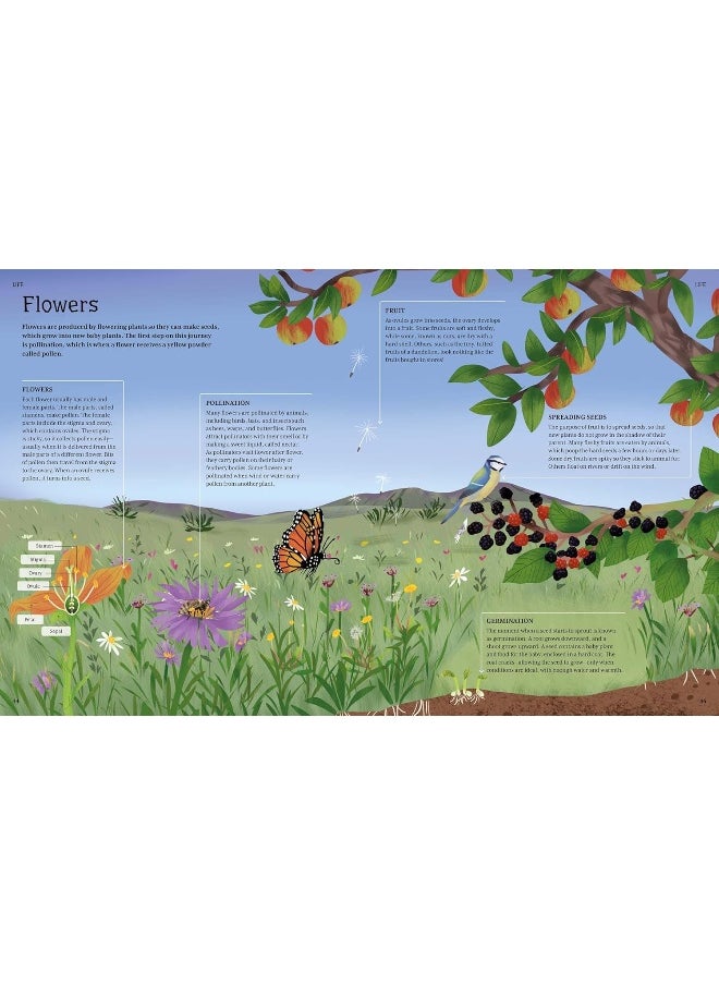 The Illustrated Encyclopedia of Science: Explore the Wonders of Life, Matter, Energy, and More  - Image 4