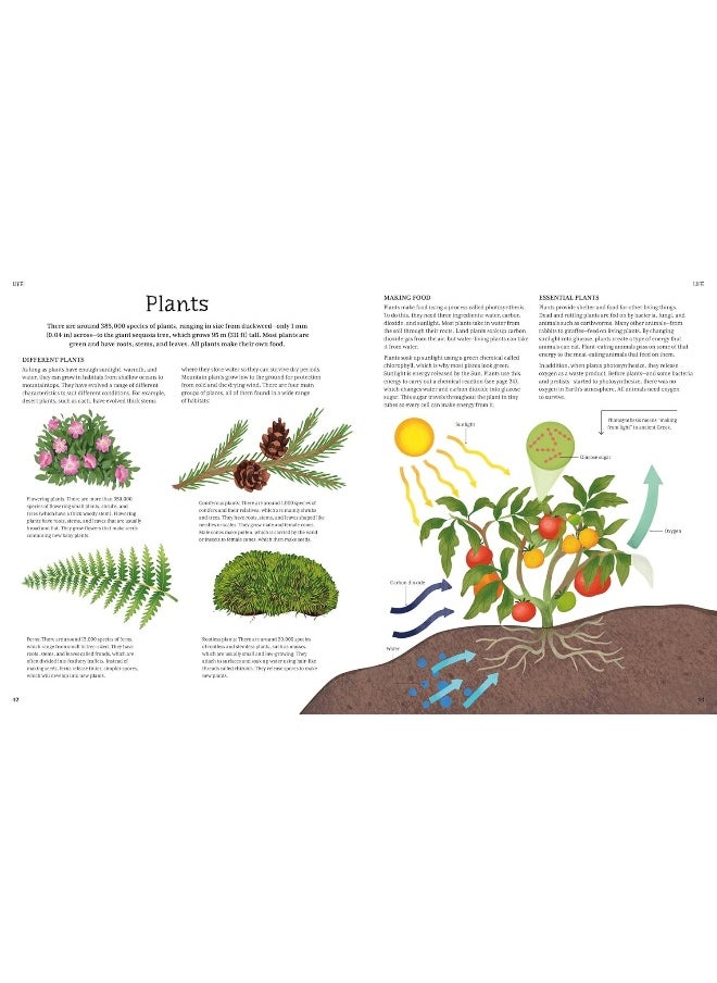 The Illustrated Encyclopedia of Science: Explore the Wonders of Life, Matter, Energy, and More  - Image 3