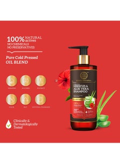 Khadi Natural KHADI NATURAL HIBISCUS and ALOEVERA SHAMPOO WITH REETHA and AMLA SULPHATE PARABEN FREE - POWERED BOTANICS  - Image 3
