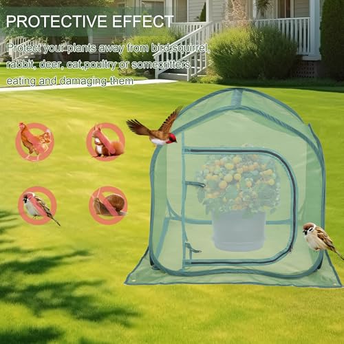 ToBoom UV-Resistant Durable Pop Up Plant Covers & Garden Mesh Netting - Protective Bird Netting for Tomato & Crop Protection, Portable Pop-Up Mesh Plant Covers for Raised Beds - Image 4
