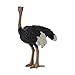 Andux Realistic Animals Figures Toys Marine Life Wild Jungle Learning Educational Playset FZDW03 Ostrich OX117120 - Image 2