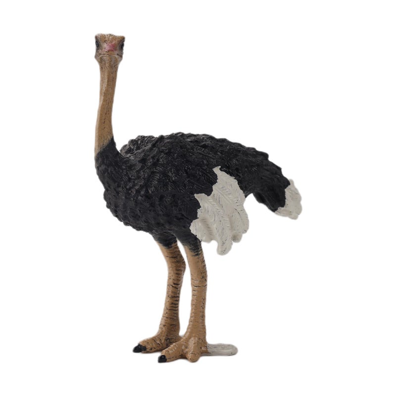 Andux Realistic Animals Figures Toys Marine Life Wild Jungle Learning Educational Playset FZDW03 Ostrich OX117120 - Image 3