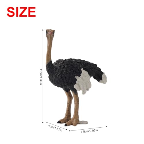 Andux Realistic Animals Figures Toys Marine Life Wild Jungle Learning Educational Playset FZDW03 Ostrich OX117120 - Image 5