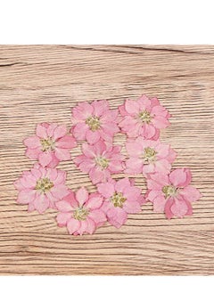 KASTWAVE Dried Pressed Flower 12 Pcs Lifelike Small Flower Ornaments Nail Art Little Pressed Real Dried Flower Material for Hand DIY Phone Case Specimen  - Image 2