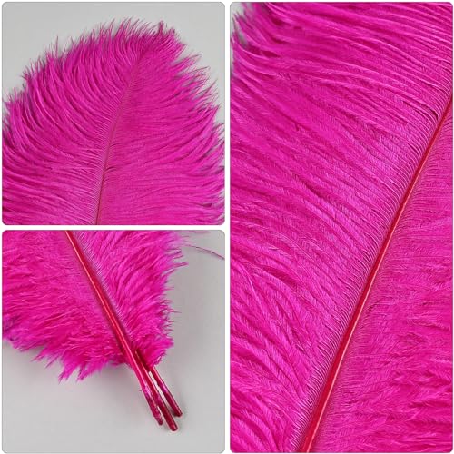 THARAHT Hot Pink Ostrich Feathers 24pcs Natural Bulk 8-10Inch 20cm-25cm for Crafts Wedding Party Centerpieces Easter Gatsbi and Home Decoration Feathers - Image 3
