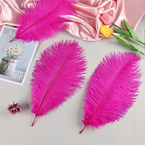 THARAHT Hot Pink Ostrich Feathers 24pcs Natural Bulk 8-10Inch 20cm-25cm for Crafts Wedding Party Centerpieces Easter Gatsbi and Home Decoration Feathers - Image 4