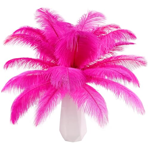 THARAHT Hot Pink Ostrich Feathers 24pcs Natural Bulk 8-10Inch 20cm-25cm for Crafts Wedding Party Centerpieces Easter Gatsbi and Home Decoration Feathers - Image 1