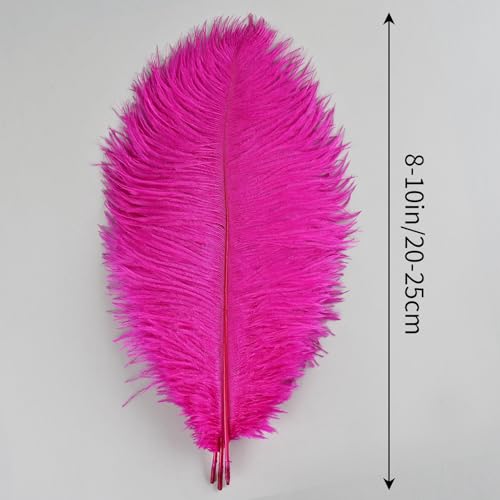 THARAHT Hot Pink Ostrich Feathers 24pcs Natural Bulk 8-10Inch 20cm-25cm for Crafts Wedding Party Centerpieces Easter Gatsbi and Home Decoration Feathers - Image 2