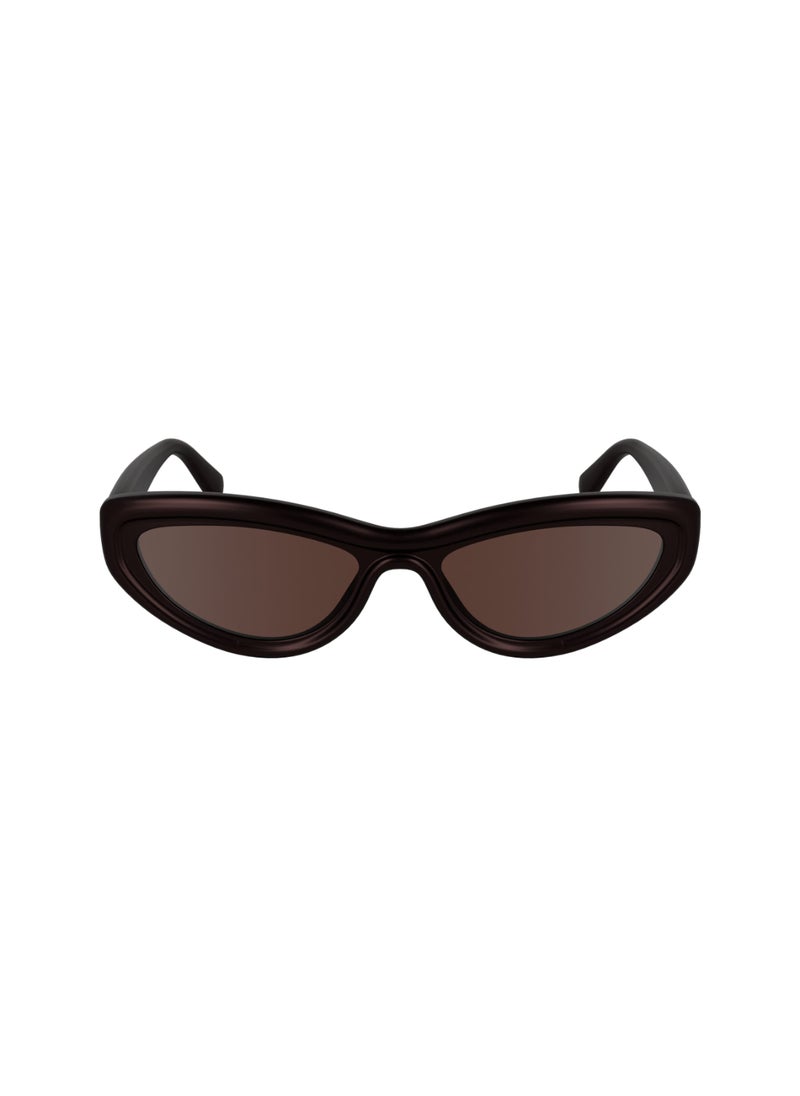 Calvin Klein Jeans FULL RIM BIO INJ-G820 INJECTED CALVIN KLEIN JEANS SUN CKJ24624S 5518 (505) AUBERGINE  - Image 2
