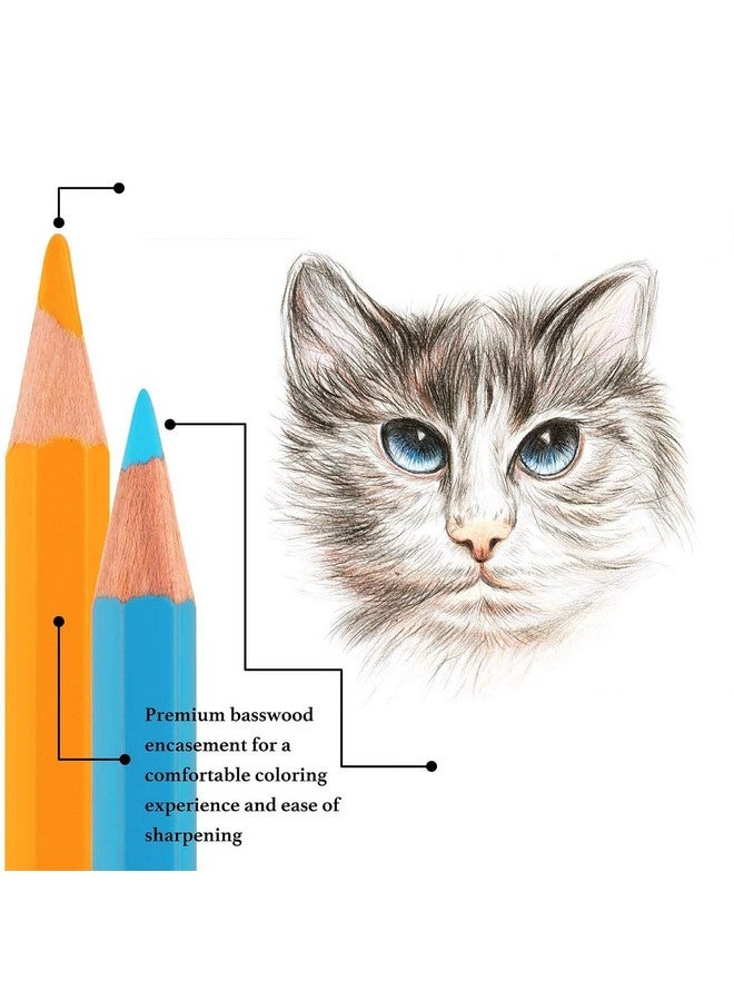 فنبلاست ألوان أقلام فن بلاست - ألوان أقلام رصاص للأطفال، ألوان أقلام رصاص للفنانين، مجموعة ألوان، هدية عيد ميلاد للأطفال، مجموعة أدوات مكتبية للأطفال، عبوة من 12 قلم تلوين مزدوج الوجهين، 24 لونًا - Image 3