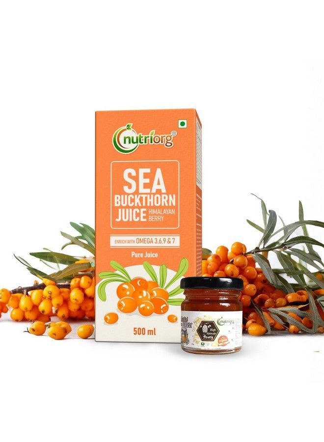 nutriorg Nutriorg SeaBuckthorn Juice 500 ml With 50 gm organic honey | Himalayan Berry | Rich in Omega 3, 6, 7, 9 & Vitamin C | Immunity Booster & Antioxidant | No Added Sugar (Free Honey) - Image 1