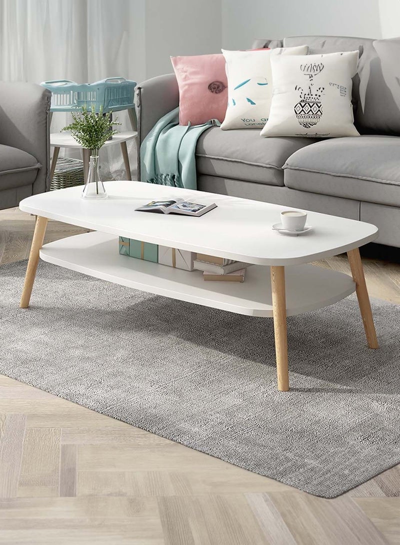 EqiEch Modern Style Double Layer MDF Coffee Table With Large Open Storage For Living Room Home Office 120x58x42cm - Image 1