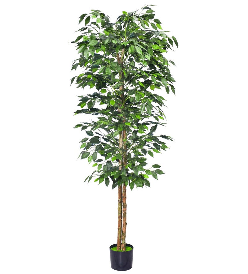 HAIHONG 1Pack 6FT Artificial Ficus Tree with Realistic Leaves and Natural Trunk Faux Ficus Tree with Sturdy Plastic Nursery Pot Fake Ficus Tree for Office Home Farmhouse for Indoor Outdoor Decor