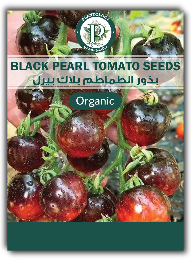 بذور طماطم اللؤلؤة السوداء للزراعة - بذور طماطم - Image 1