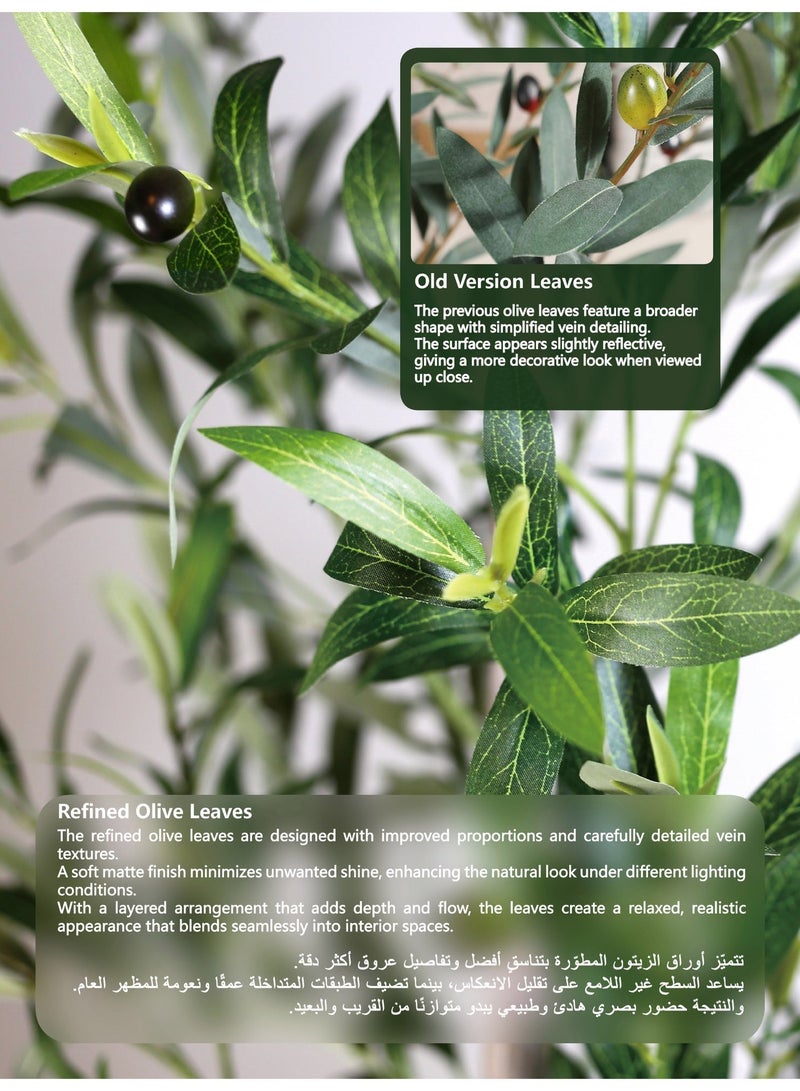 Minimalist Black Cement Planter (30×30.5cm) with Artificial Olive Tree (190cm) – Complete Indoor Styling Set for Modern Spaces - Image 5