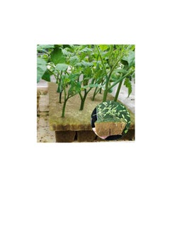 Generic Plant Starter Plugs Starter Blocks 16pcs Hydroponic Nutrient Fertilizer Fiber Soil Block for Plant Seedling Transplanting Growing Herb Flower Vegetables  - Image 3