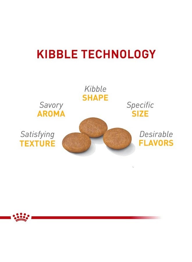 رويال كانين طعام جاف للكلاب الصغيرة من رويال كانين للعناية بالبشرة الحساسة، كيس 3 أرطال - Image 3
