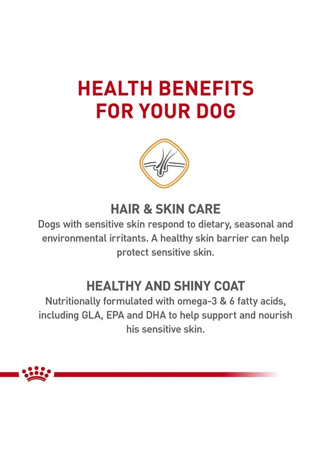 رويال كانين طعام جاف للكلاب الصغيرة من رويال كانين للعناية بالبشرة الحساسة، كيس 3 أرطال - Image 5