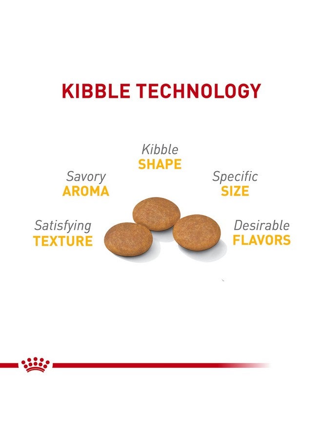 رويال كانين طعام جاف للكلاب الصغيرة من رويال كانين للعناية بالبشرة الحساسة، كيس 3 أرطال - Image 4