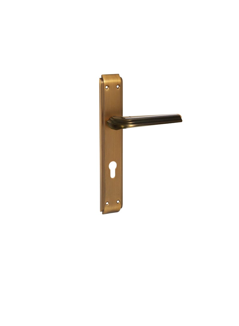 ROBUSTLINE Robustline Door Handle | Aluminum Material | Matt Coffee Color | Lines Pattern Handle - Image 1