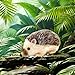 VOLOBE 5 Inches Silicone Hedgehog Realistic Silicone Animal as Silicone Piglet Companion with Sleeping Pad Accessories for Kids Boy Girl Birthday Handmade Gift Brown Hedgehog - Image 4