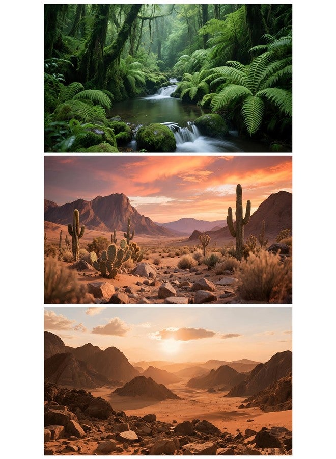 Xereooe 3 Pack Terrarium Background Polyester Reptile Background，Gobi Sunshine Cactus Stone & Green Tree Fern Stream Terrarium (30 inches x 12 inches) - Image 1