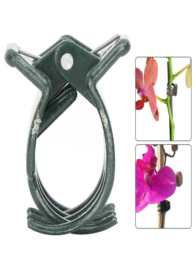 100Pcs Garden Plant Clip Plastic Plants Support Fixing Clips Clamp for Orchid Flower Stems - Image 5