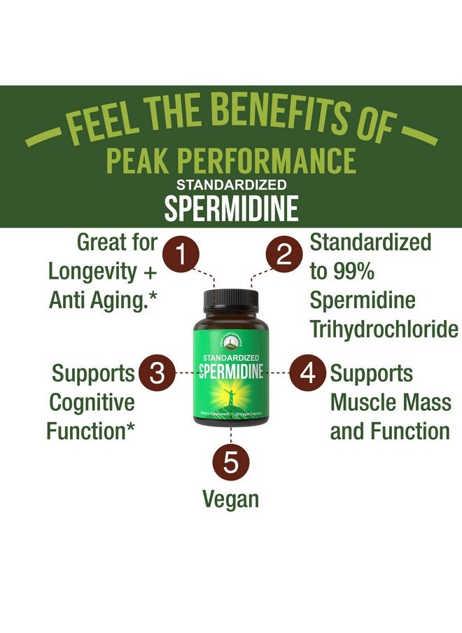 Spermidine Supplement Ultra High Strength Standardized To 99% Spermidine Trihydrochloride More Potent Than Wheat Germ Extract Vegan Capsules For Healthy Aging Longevity Usa Tested Supplements