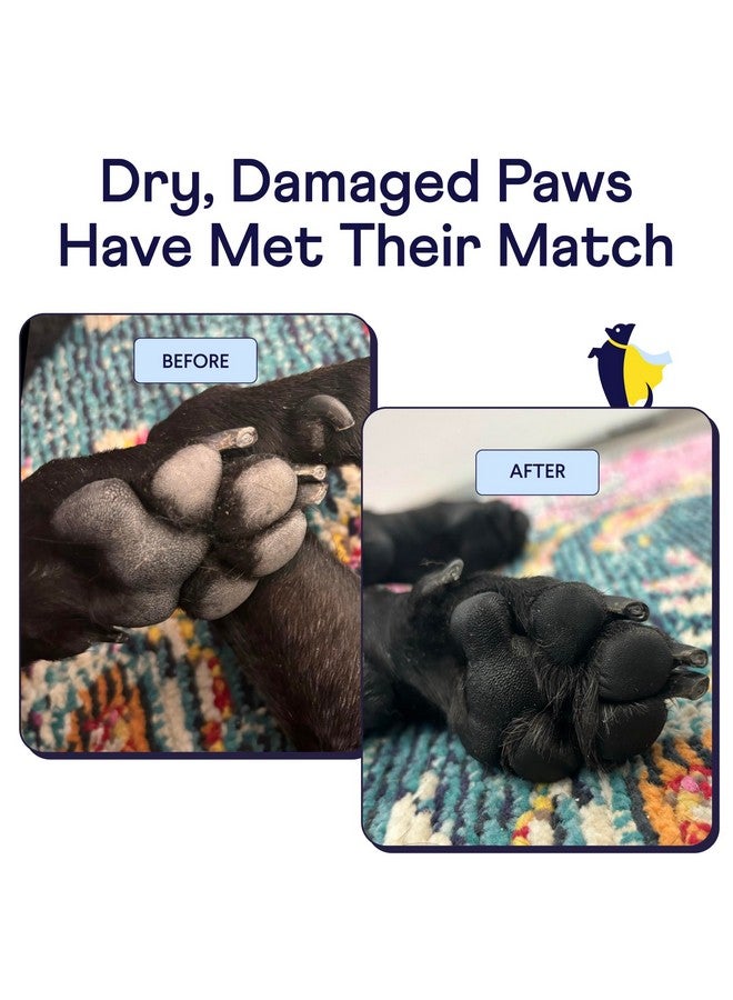 فين باو هيرو | بلسم طبيعي مُنعش لمخالب الكلاب | يحمي ويغذي ويُصلح من التلف والجفاف - ١٫٧٥ أونصة - Image 2