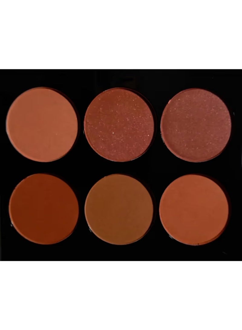 m.n. Women 6 colors palette blusher bronzer makeup