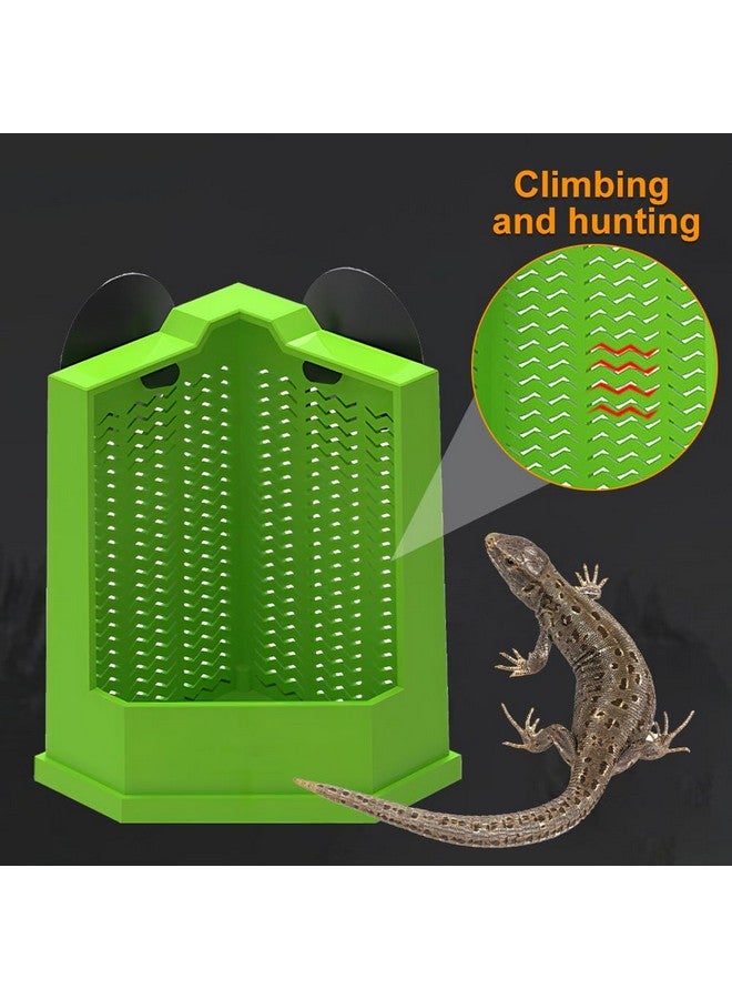 MiOYOOW Bearded Dragon Feeder, Escapeproof Corner Reptile Feeder Box with Suction Cups for Lizard, Lguana, Gecko, Bearded Dragon - Image 3
