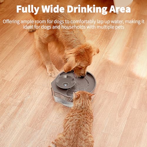 Vekonn Dog Water Fountain, 5L/169oz Pet Water Fountain with Transparent Design and 3 Filters, Dog Water Bowl Dispenser with Quiet Pump, Ideal for Dogs, Cats and Multi-pet households - Image 2