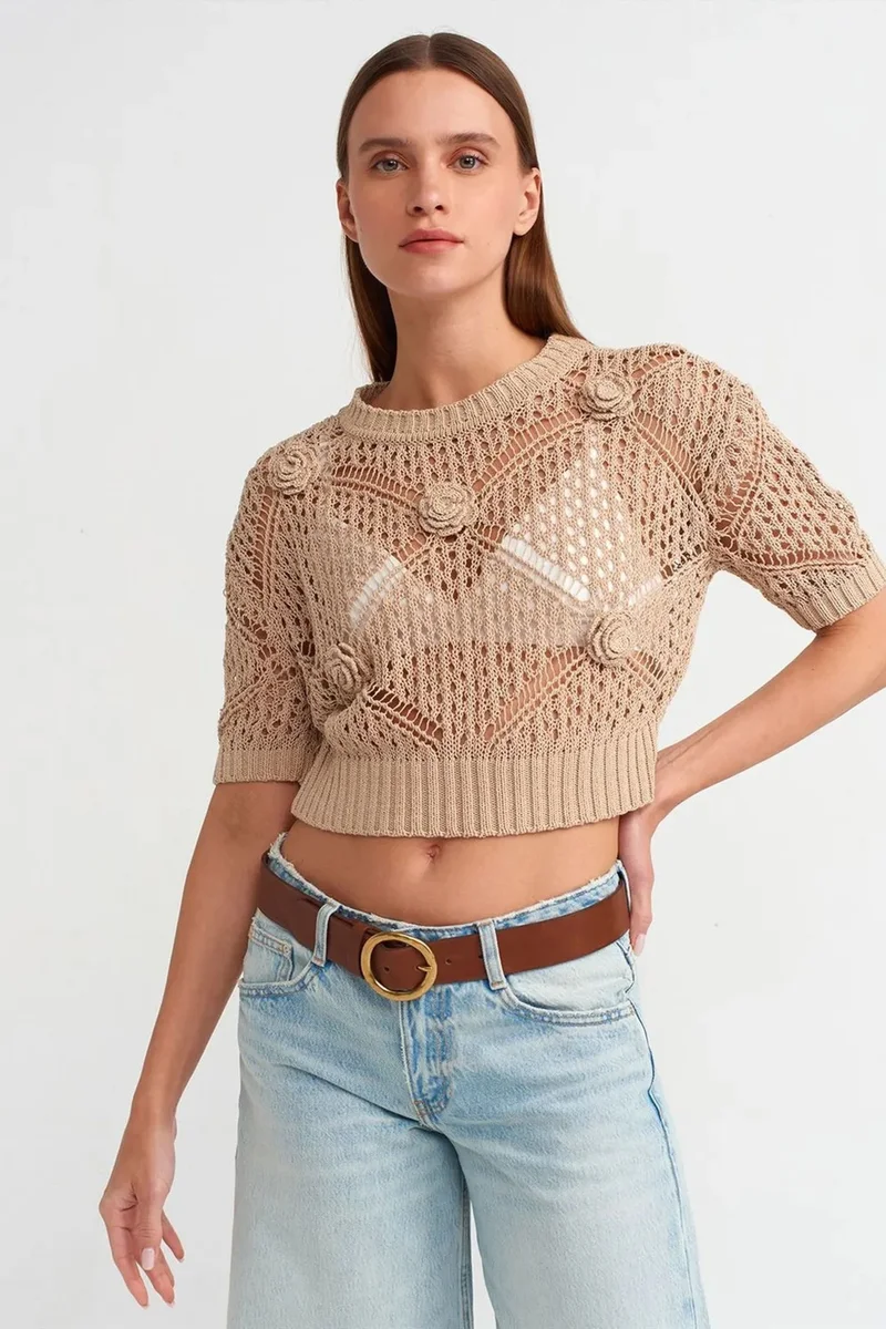 DILVIN Women's Textured Crop Crew Neck Sweater