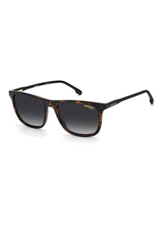 Carrera نظارة كاريرا الشمسية مستطيلة الشكل، لون السلحفاة، مع عدسات متدرجة رمادية داكنة CR 261/S 086 9O مقاس العدسة: 53 ملم  - Image 1