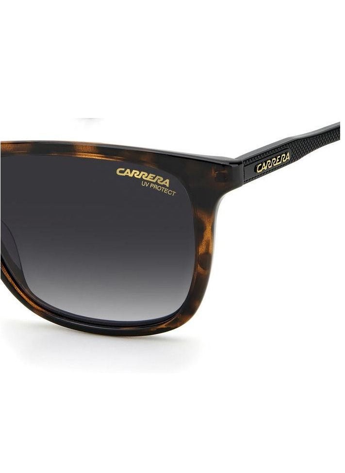 Carrera نظارة كاريرا الشمسية مستطيلة الشكل، لون السلحفاة، مع عدسات متدرجة رمادية داكنة CR 261/S 086 9O مقاس العدسة: 53 ملم  - Image 5