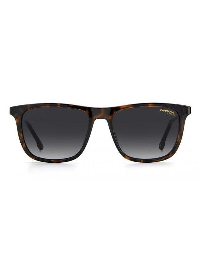 Carrera نظارة كاريرا الشمسية مستطيلة الشكل، لون السلحفاة، مع عدسات متدرجة رمادية داكنة CR 261/S 086 9O مقاس العدسة: 53 ملم  - Image 3