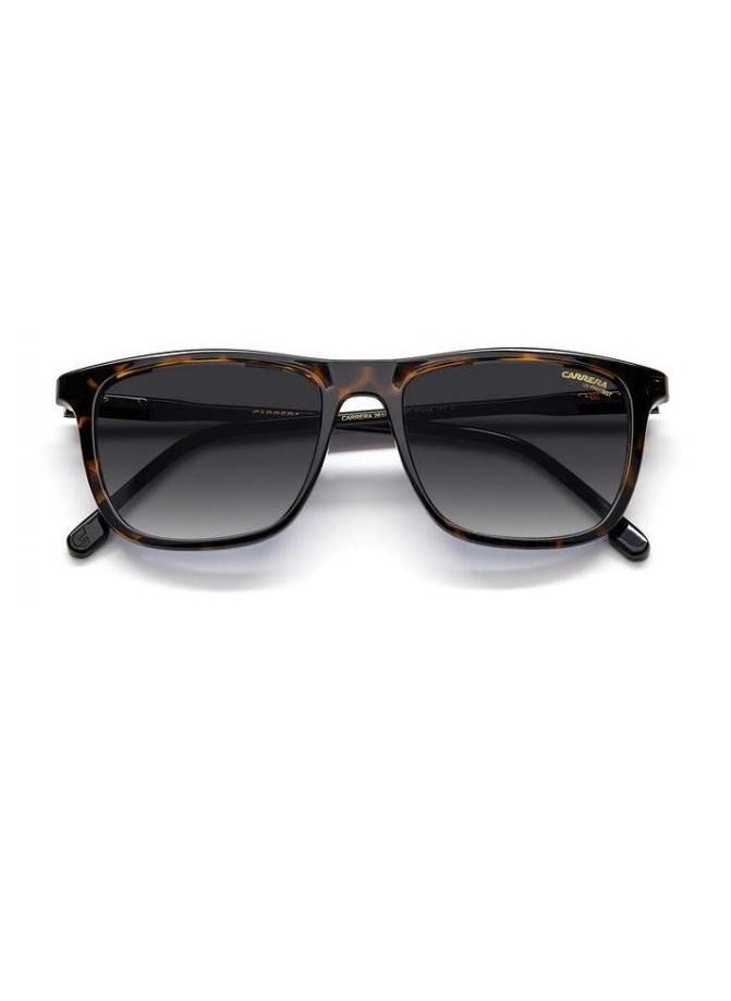 Carrera نظارة كاريرا الشمسية مستطيلة الشكل، لون السلحفاة، مع عدسات متدرجة رمادية داكنة CR 261/S 086 9O مقاس العدسة: 53 ملم  - Image 4