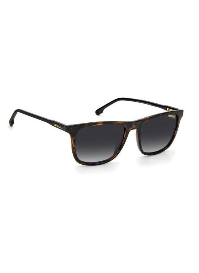 Carrera نظارة كاريرا الشمسية مستطيلة الشكل، لون السلحفاة، مع عدسات متدرجة رمادية داكنة CR 261/S 086 9O مقاس العدسة: 53 ملم  - Image 2
