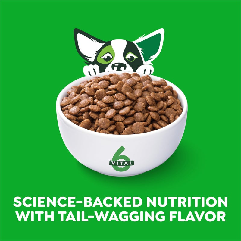 Greenies Smart Essentials Small Breed Adult High Protein Dry Dog Food Real Chicken & Rice Recipe, 13.5 lb. Bag - Image 2