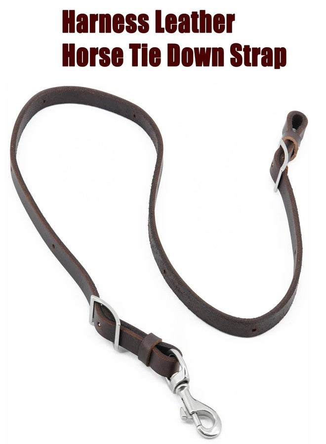 حزام ربط الخيول من الجلد المدبوغ بالزيت الثقيل من جيريال - مصنوع من جلد السرج المدبوغ بالزيت الثقيل، مع أجزاء معدنية من الفولاذ المقاوم للصدأ، 3/4 بوصة × 40 بوصة (مدبوغ بالزيت | لون القهوة) - Image 5