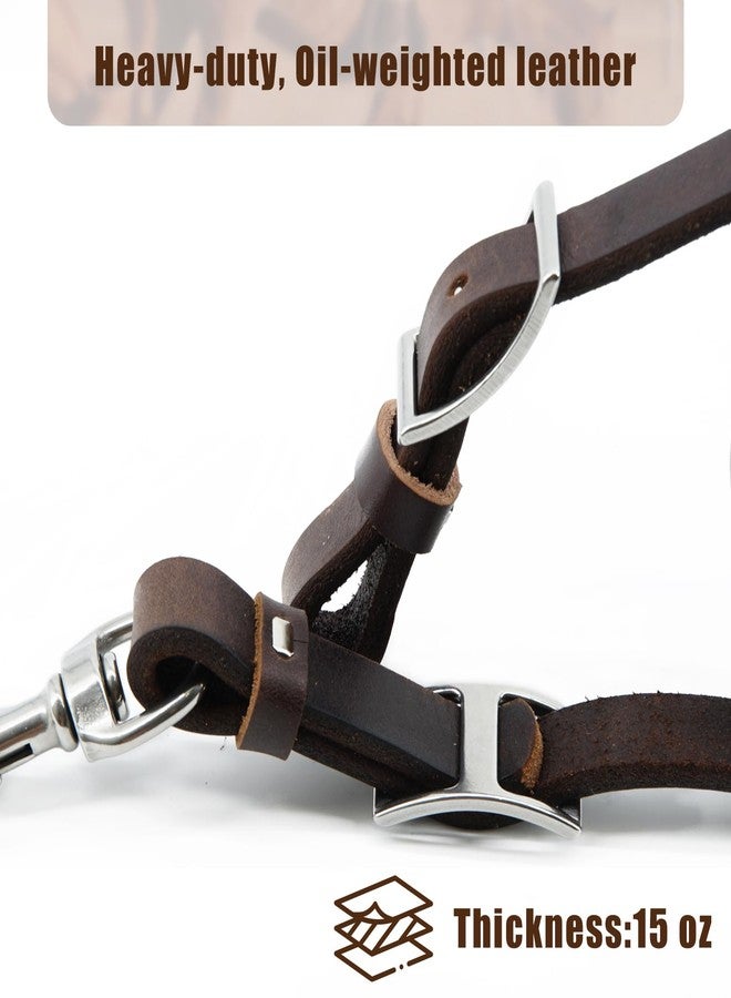 حزام ربط الخيول من الجلد المدبوغ بالزيت الثقيل من جيريال - مصنوع من جلد السرج المدبوغ بالزيت الثقيل، مع أجزاء معدنية من الفولاذ المقاوم للصدأ، 3/4 بوصة × 40 بوصة (مدبوغ بالزيت | لون القهوة) - Image 2