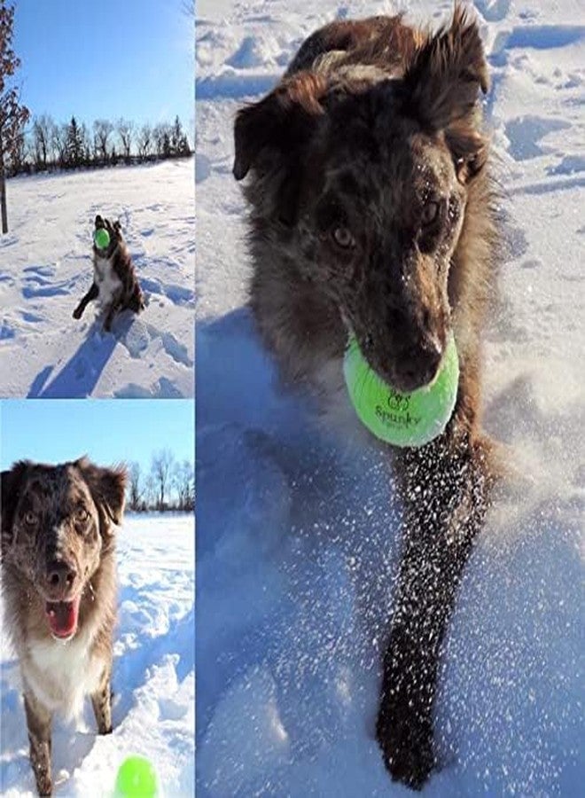 Spunky pup Squeaky Tennis Balls for Dogs SP2020 | Squeak - Toss - Fetch - Bounce - Floats | Durable Brightly Colored Ball | Especially Made for Small Dogs 2” Diameter with Mesh Bag | 3 Pack - Image 3