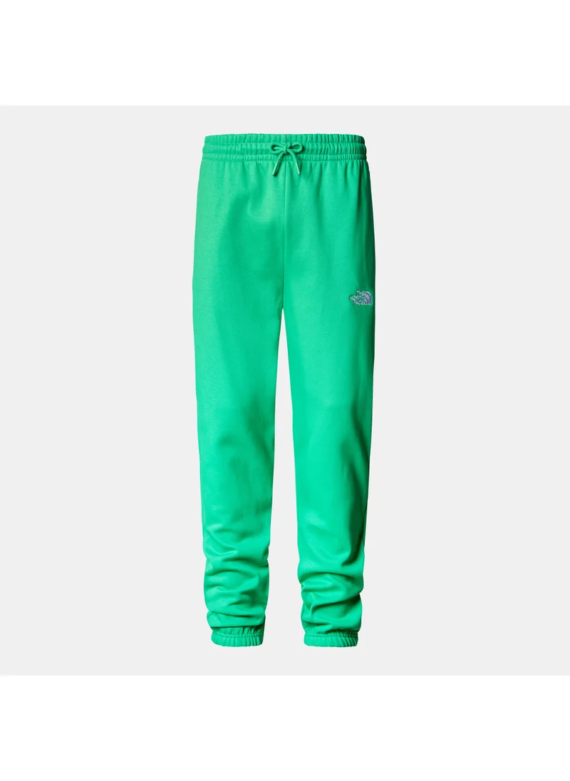 THE NORTH FACE Men's Essential Logo Sweatpants
