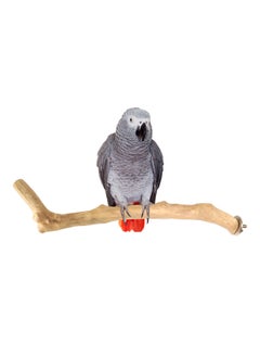 CHEWY BEAK Parrot perch for large birds  - Image 1