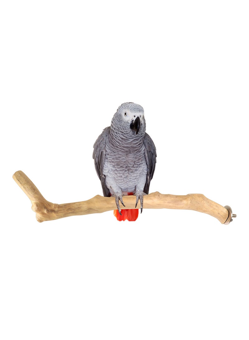 CHEWY BEAK Parrot perch for large birds - Image 1