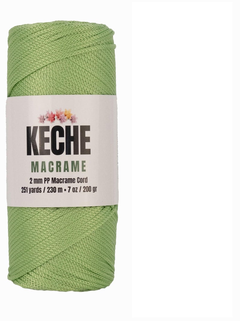 KECHE Macrame Cord | Macrame Supplies 2mm Polyester Macrame Rope Yarn for Table Runner Wall DÃ©cor Plant Hanging 251 Yards - Pistachio - Image 1